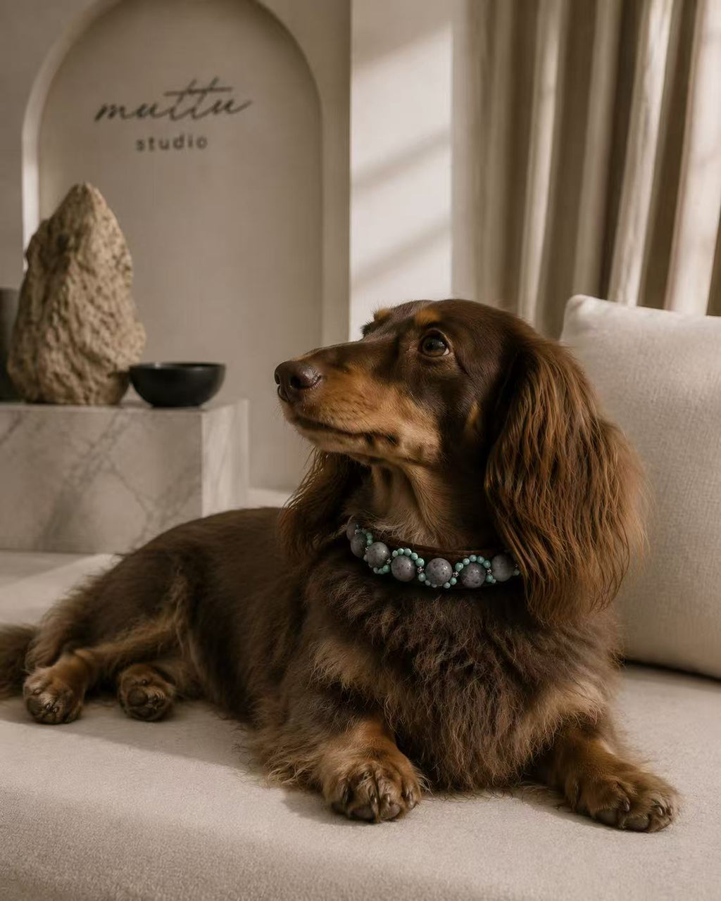 Crystal Charm Pet Collar