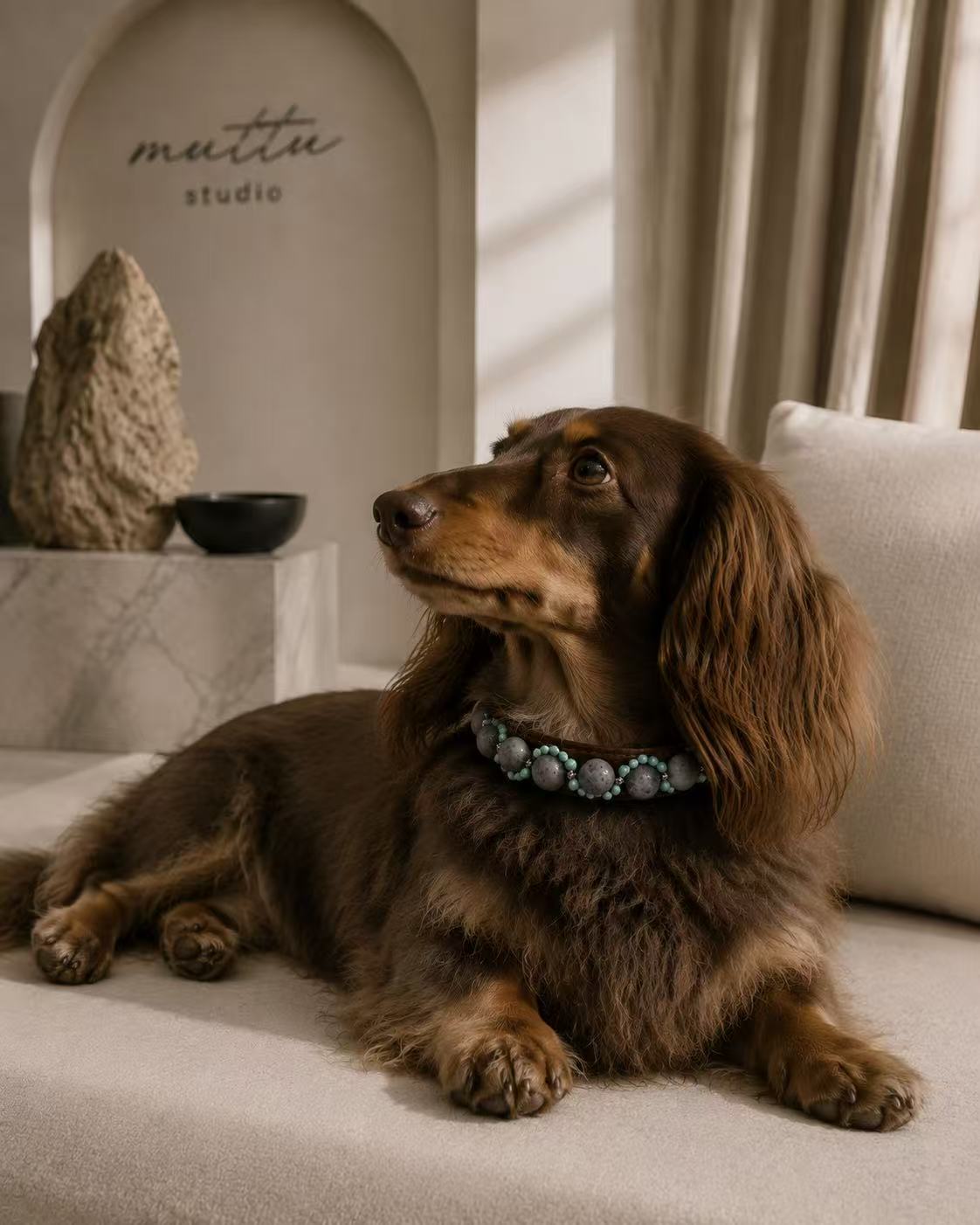 Crystal Charm Pet Collar