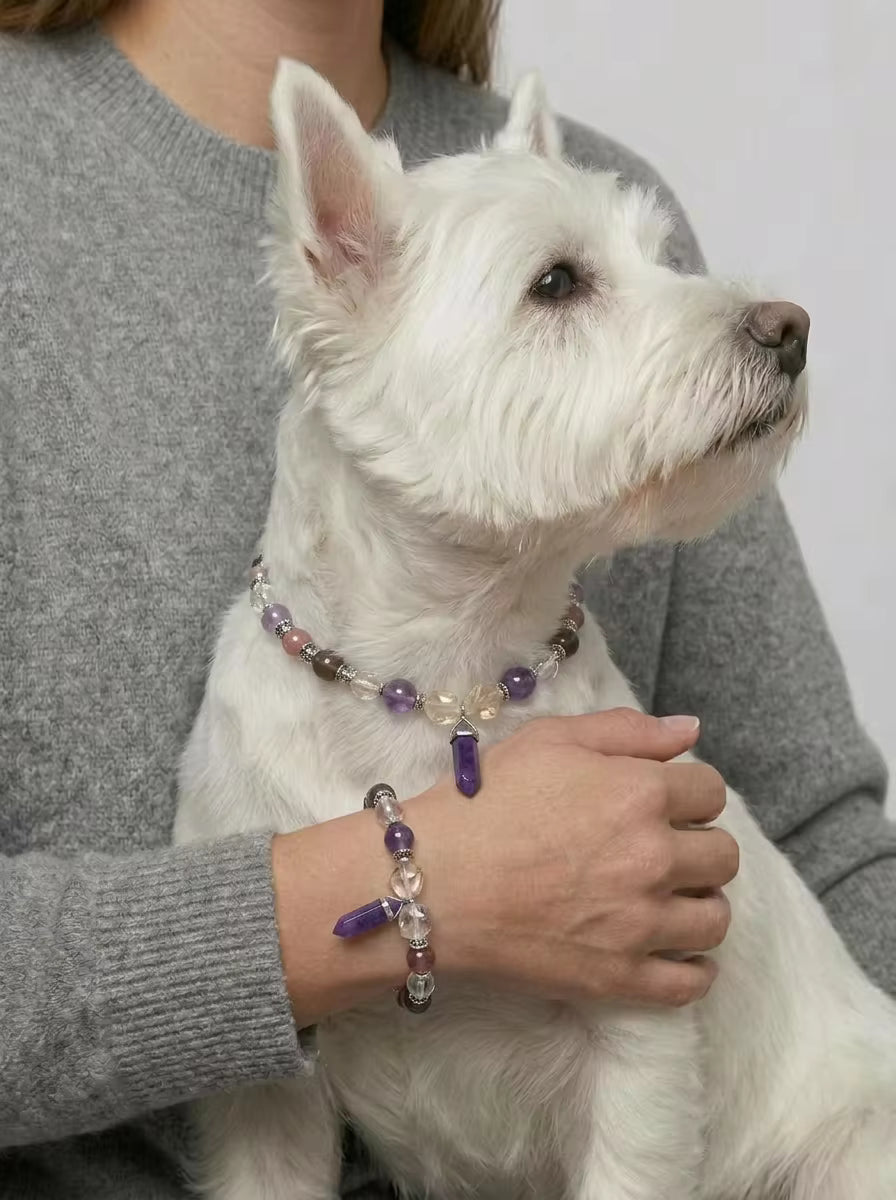 Muttu Selene Pet Crystal Necklace - Dog Wearing Selene Crystal Necklace