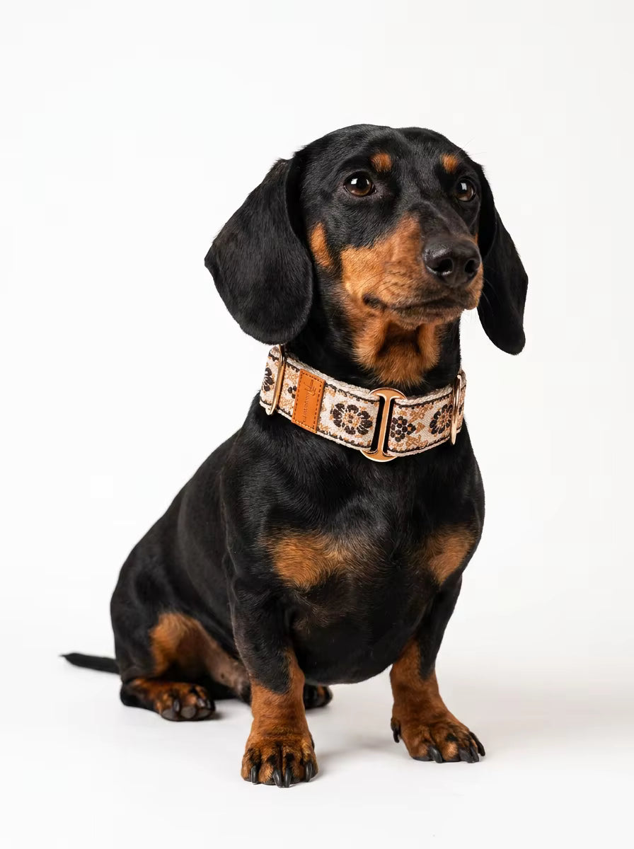 Muttu Bohemian Adjustable Pet Collar - Bohemian Style Pet Accessories