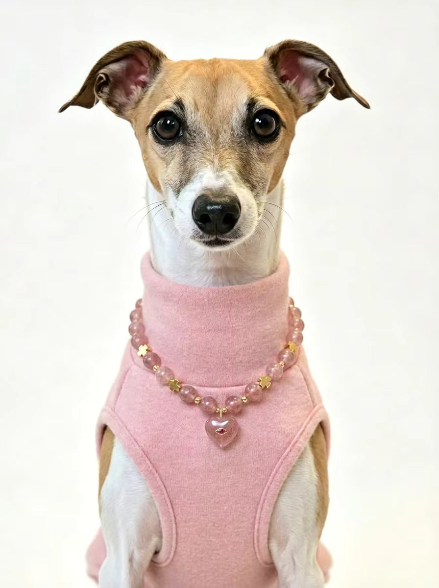 Muttu Amora Pet Crystal Necklace - Amora Crystal Pet Jewelry Close Up