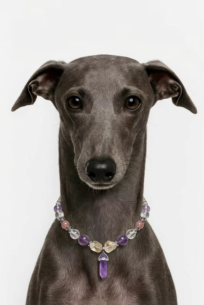 Muttu Selene Pet Crystal Necklace - Moon Crystal Dog Necklace Front View