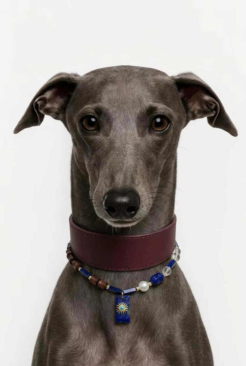 Muttu Nyx Pet Crystal Necklace - Dark Crystal Dog Necklace Front View