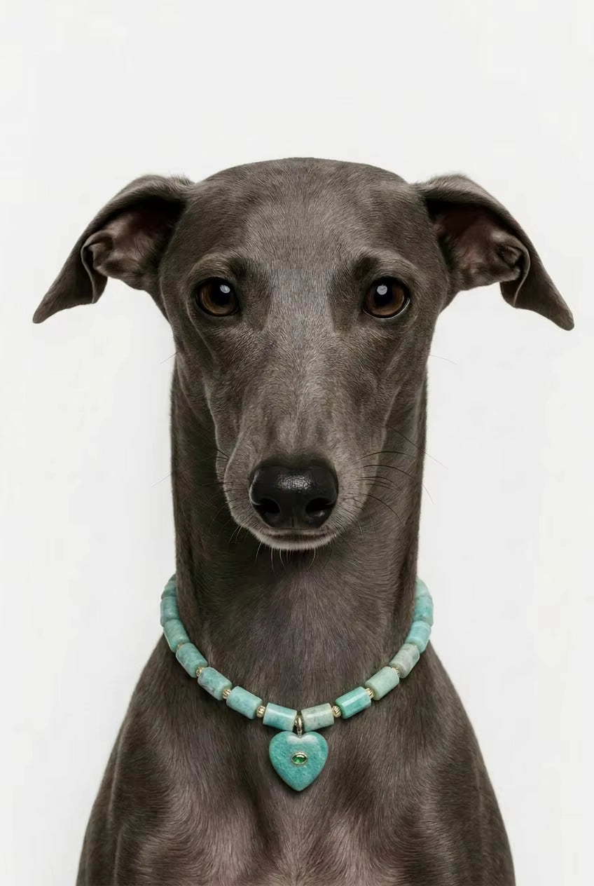 Muttu Amazonite Pet Crystal Necklace - Green Amazonite Crystal Dog Necklace Front View