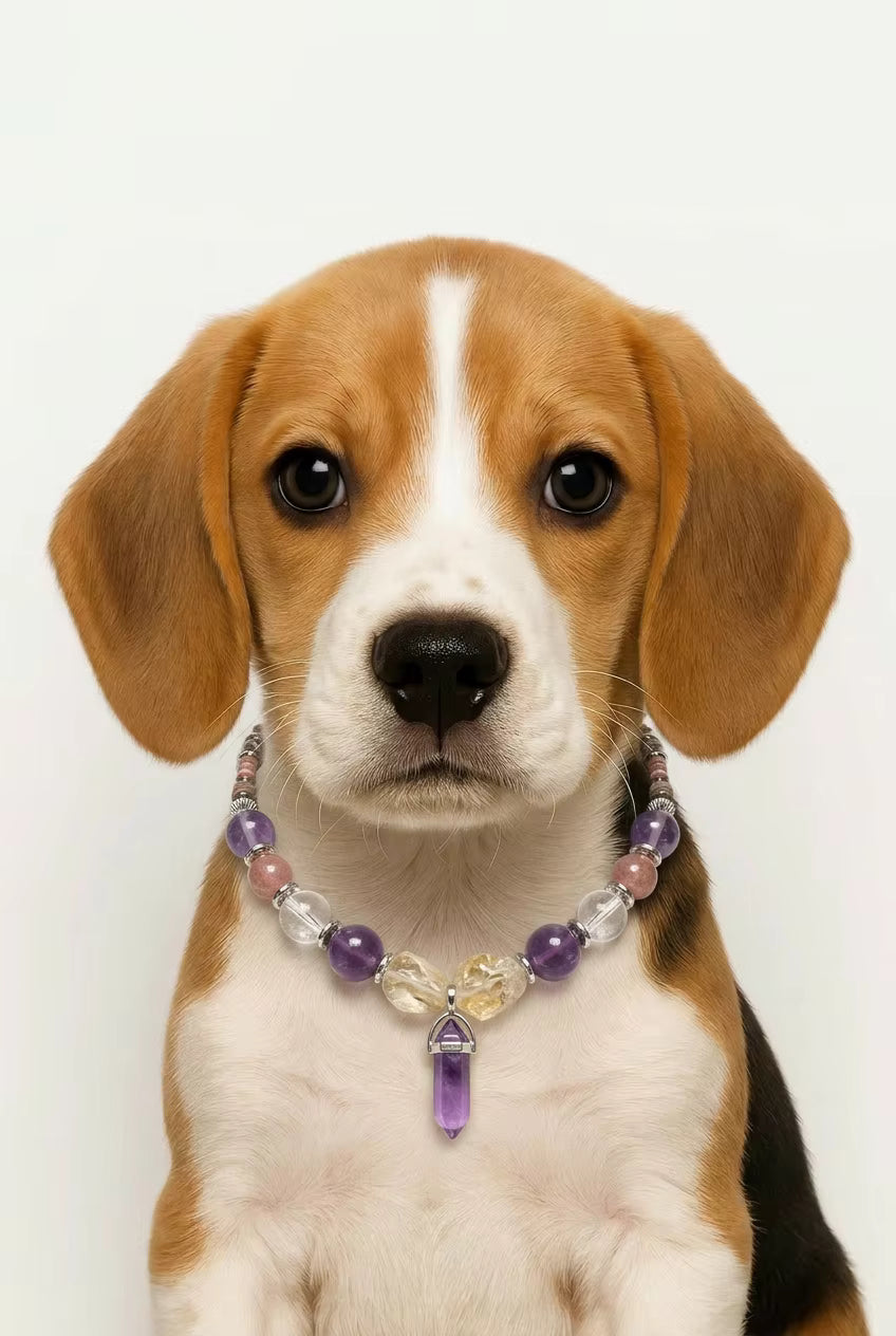 Muttu Selene Pet Crystal Necklace - Selene Crystal Pet Jewelry Close Up