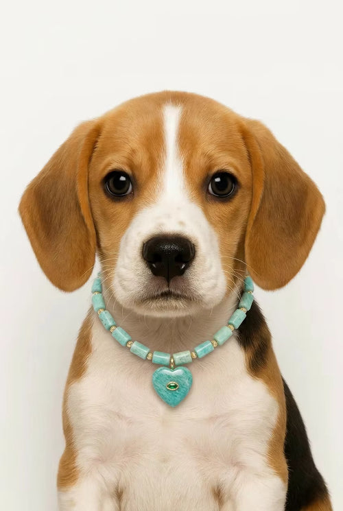 Muttu Amazonite Pet Crystal Necklace - Amazonite Crystal Pet Jewelry Close Up