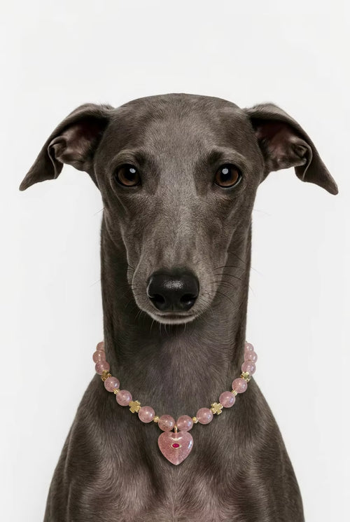 Muttu Amora Pet Crystal Necklace - Rose Crystal Dog Necklace Front View