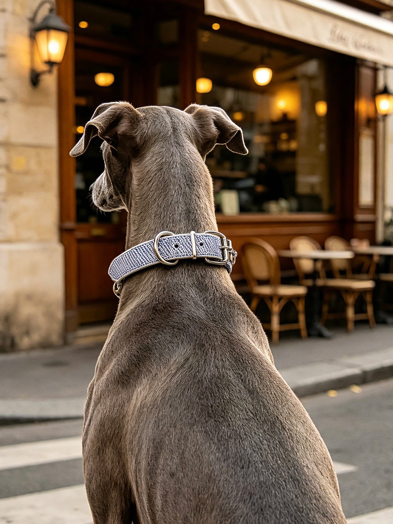 Muttu Celestial Aqua Crystal Dog Collar - Aqua Gemstone Pet Collar Side View