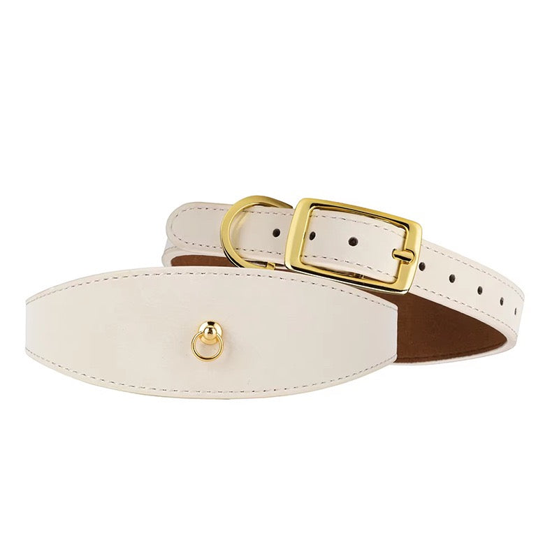 Genuine Leather Pet Collar | Handcrafted Luxury Dog Accessories | Muttu