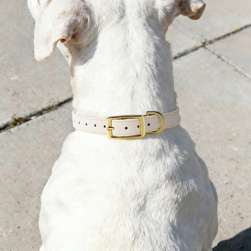 Genuine Leather Pet Collar | Handcrafted Luxury Dog Accessories | Muttu