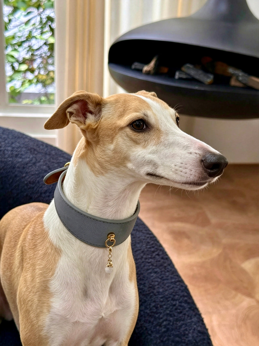 Muttu Faux Leather Pet Collar – brown PU leather collar on greyhound dog, back neck view showing gold buckle and D-ring hardware