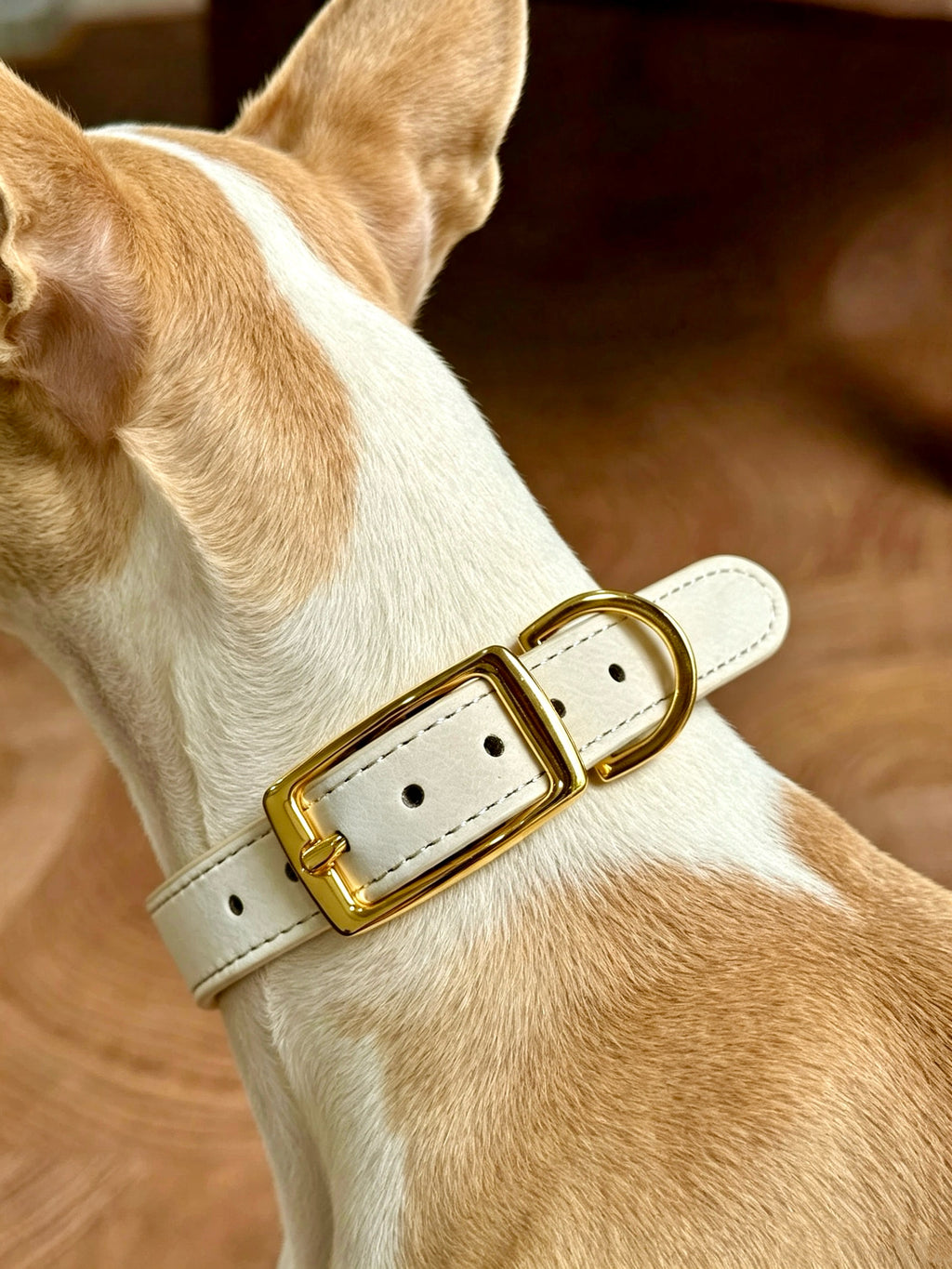 Faux Leather Pet Collar | Collar Only – Pendant Sold Separately | Muttu