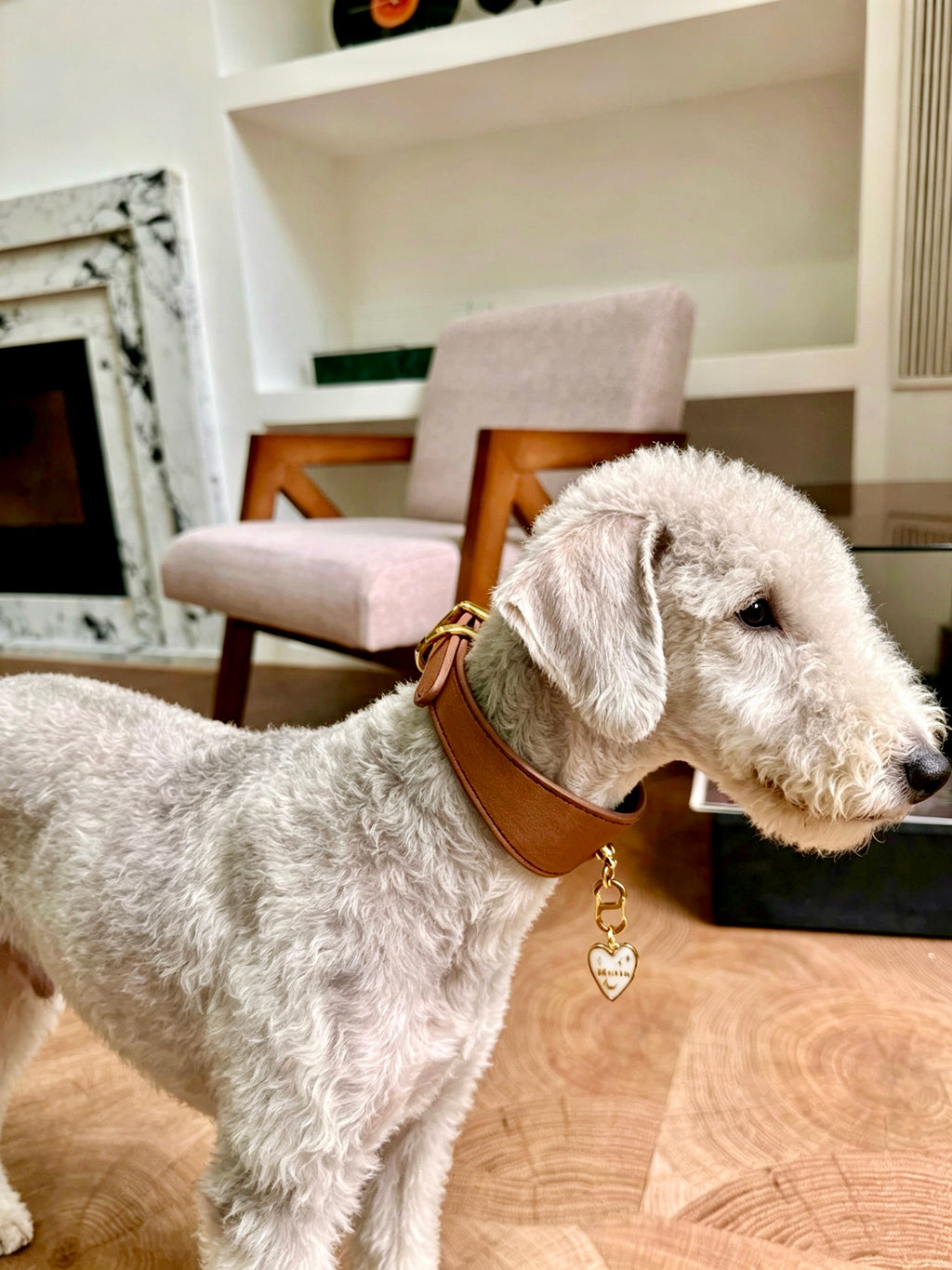 Faux Leather Pet Collar – brown collar with customizable Muttu heart charm pendant flat lay on white background, personalize with your pet's name or owner's name.