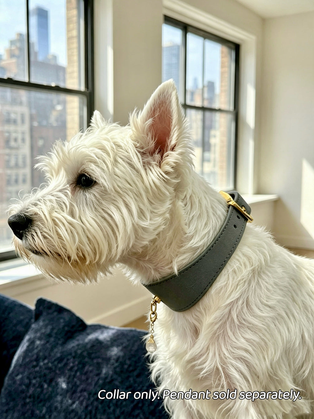 Muttu Faux Leather Pet Collar – white collar on greyhound dog with customizable turquoise heart pendant close-up, personalize with your name or pet's name. Pendant sold separately.