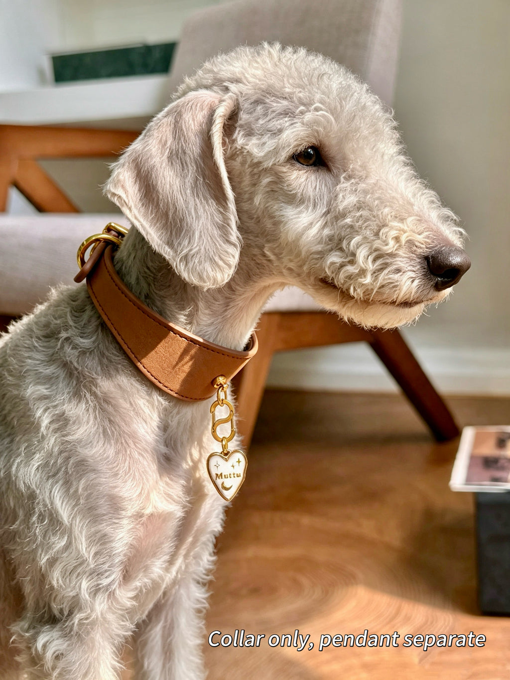 Muttu Faux Leather Pet Collar – white collar on greyhound dog with customizable turquoise heart pendant engraved with pet name, human-pet matching lifestyle photo.