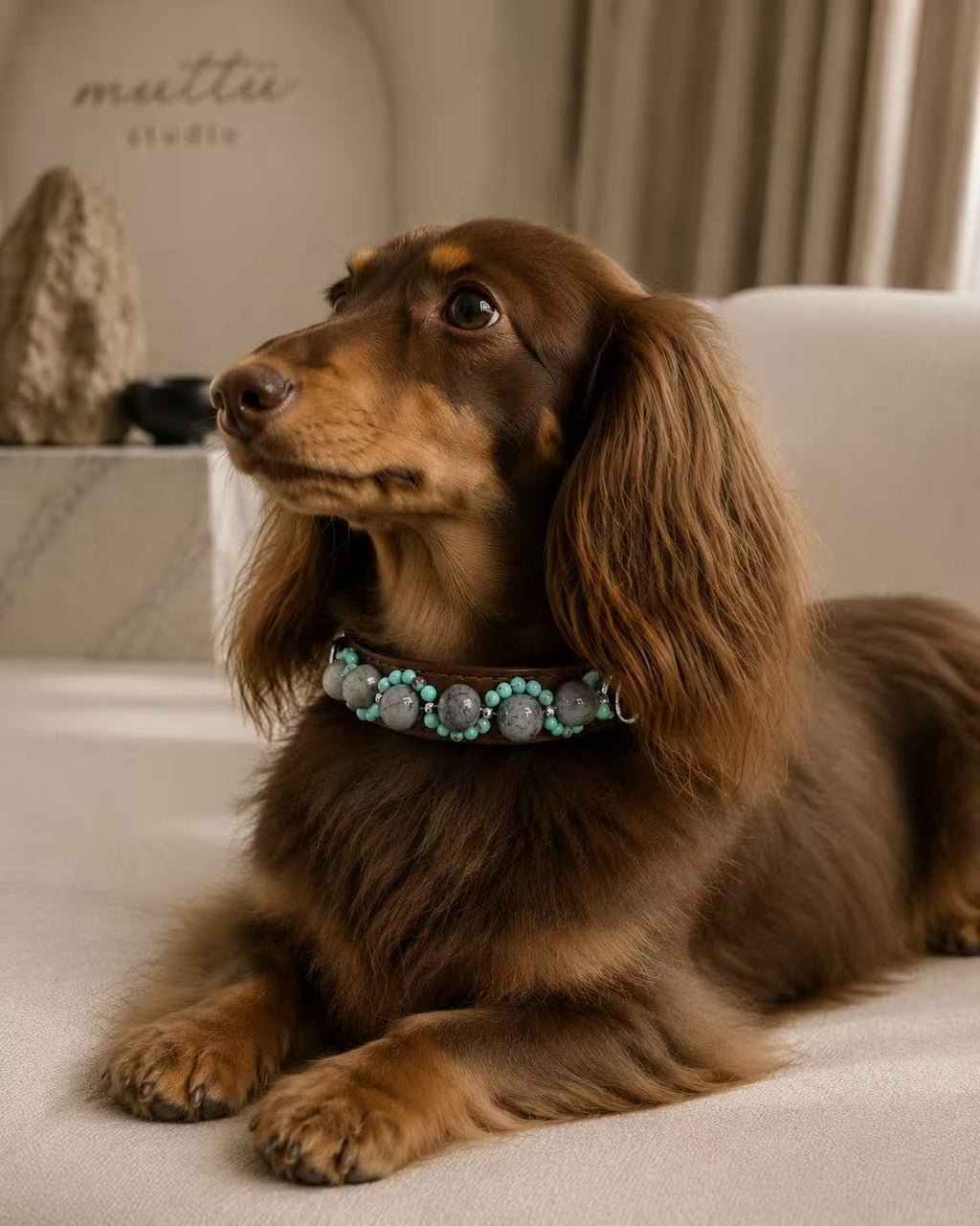 Crystal Charm Pet Collar