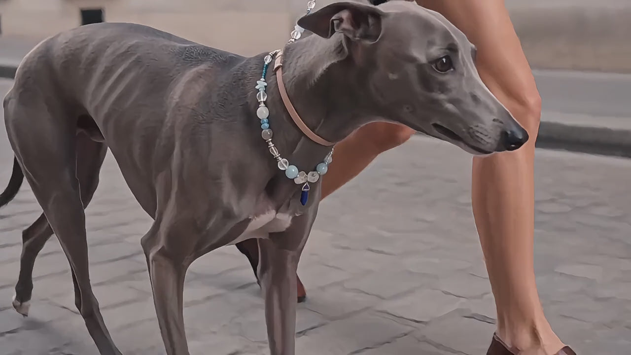 Thalassa Pet Crystal Necklace