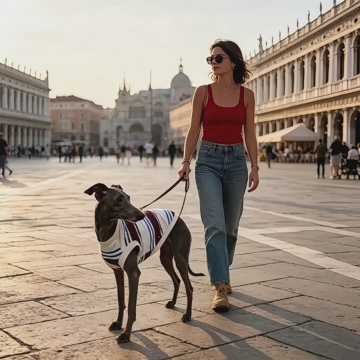 Striped Pet Clothing | Dog Sweater