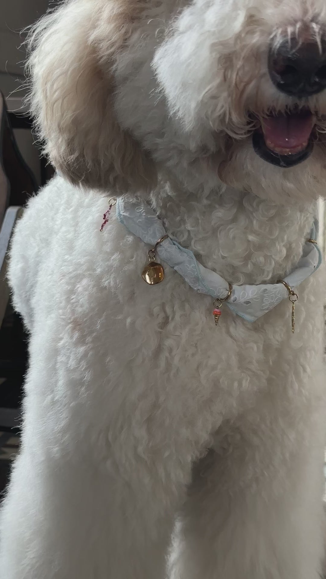 Naiad Pet Crystal Necklace